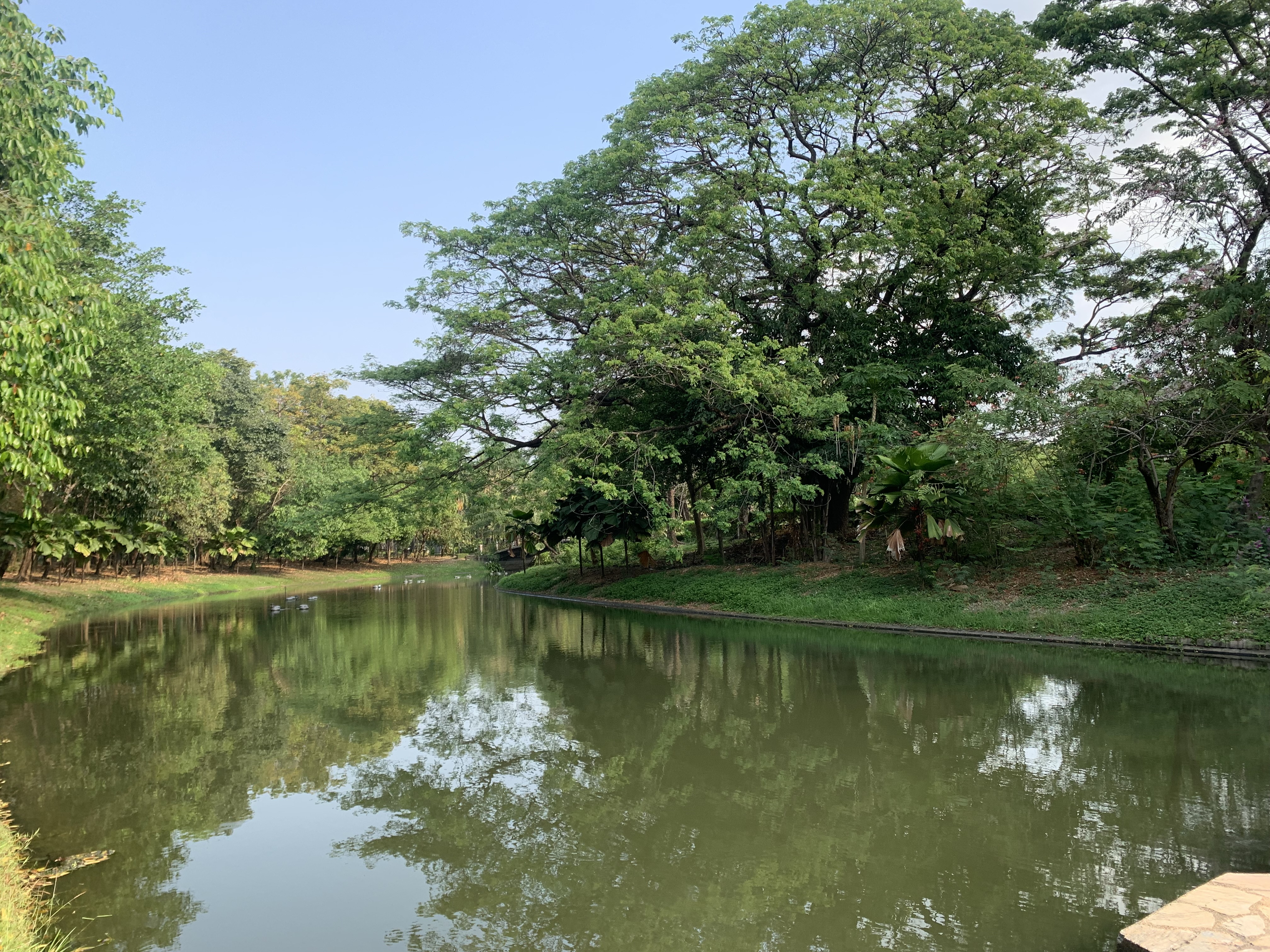 Queen Sirikit Park108.jpg