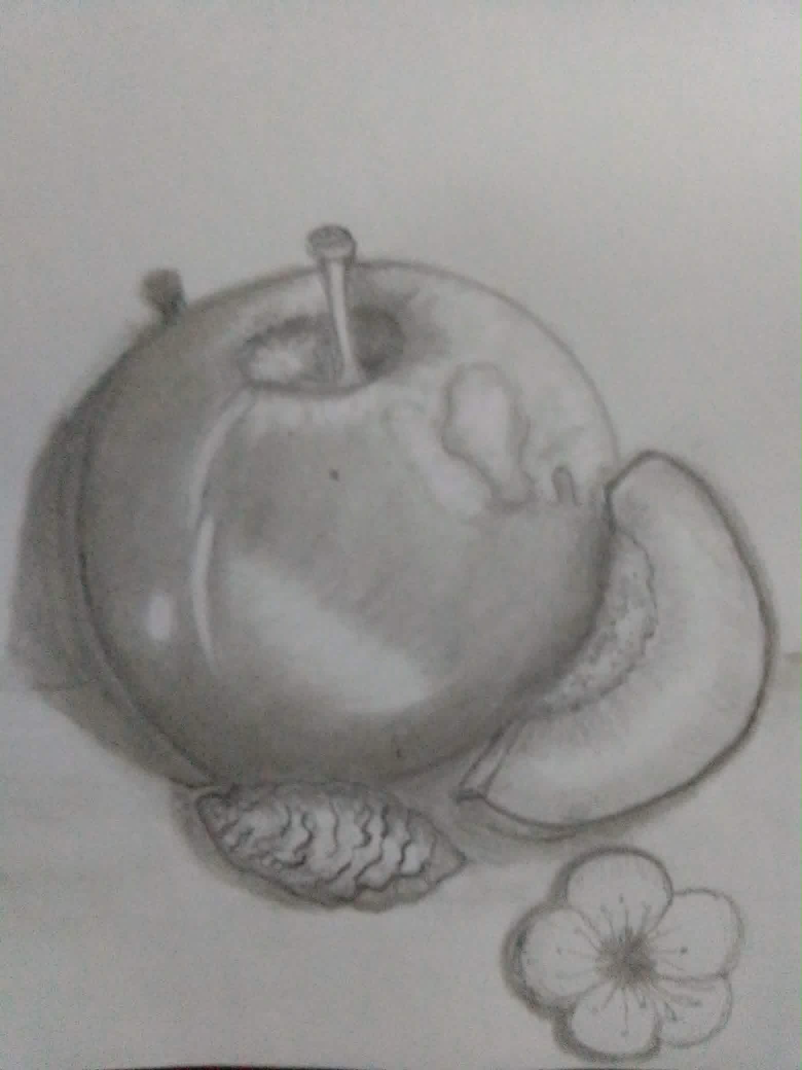 b05.jpg