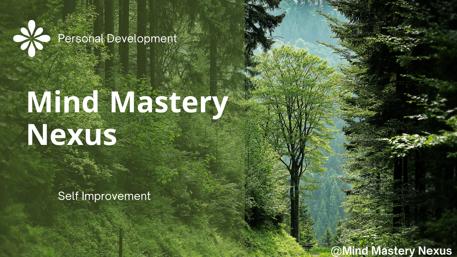Mind Mastery Nexus Post Image 6.png