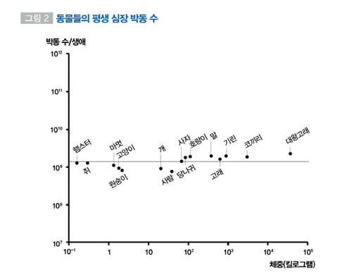 바꿀 수 없는 것과 싸워서는 안 된다.