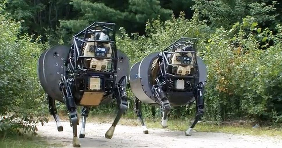 ai8.jpg