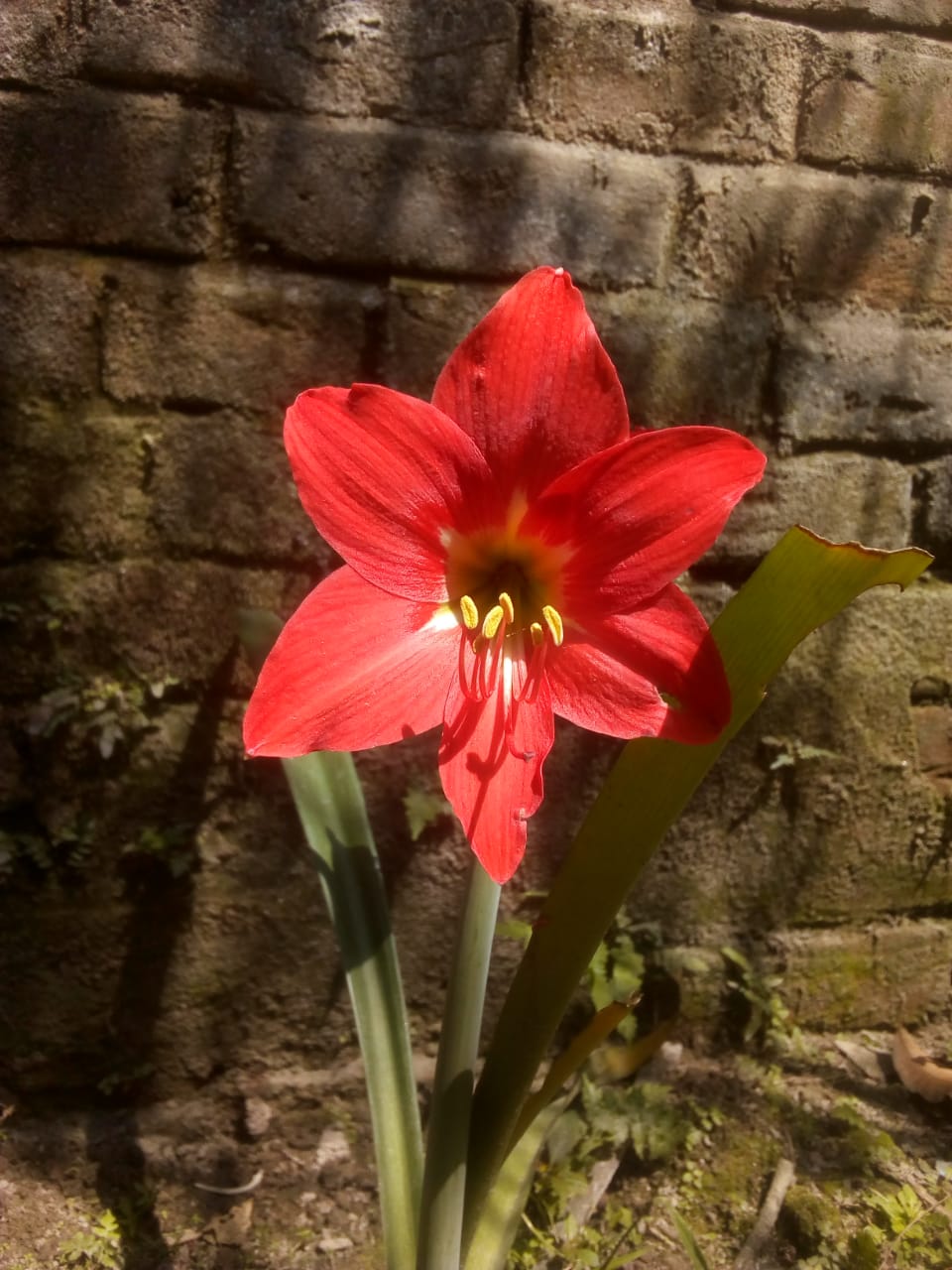 IMG-20201002-WA0000.jpg