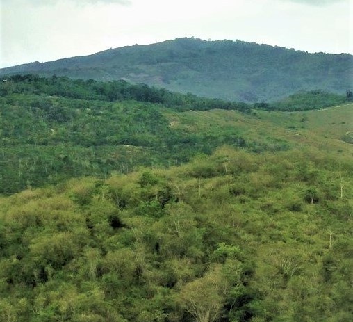 foto14.jpg