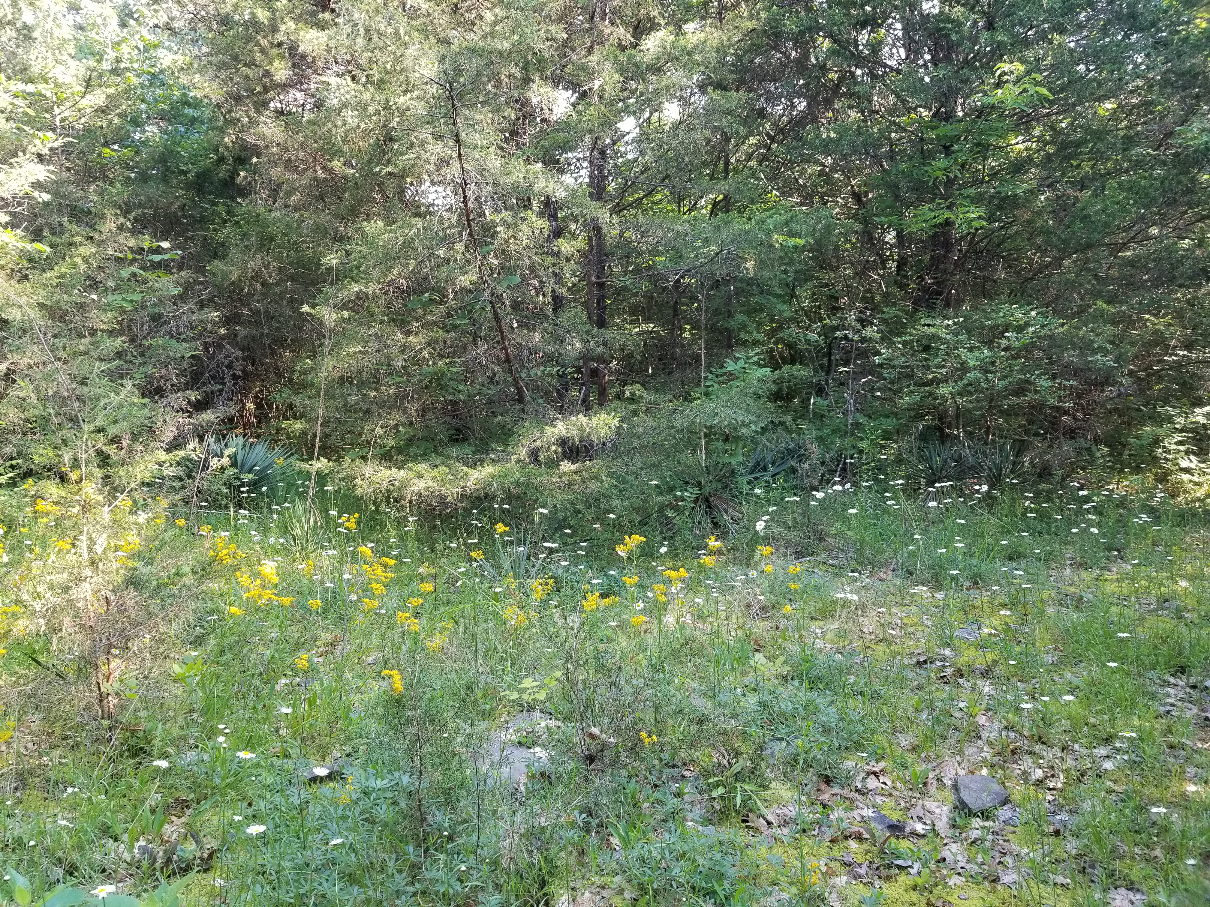 20190517_083538.jpg