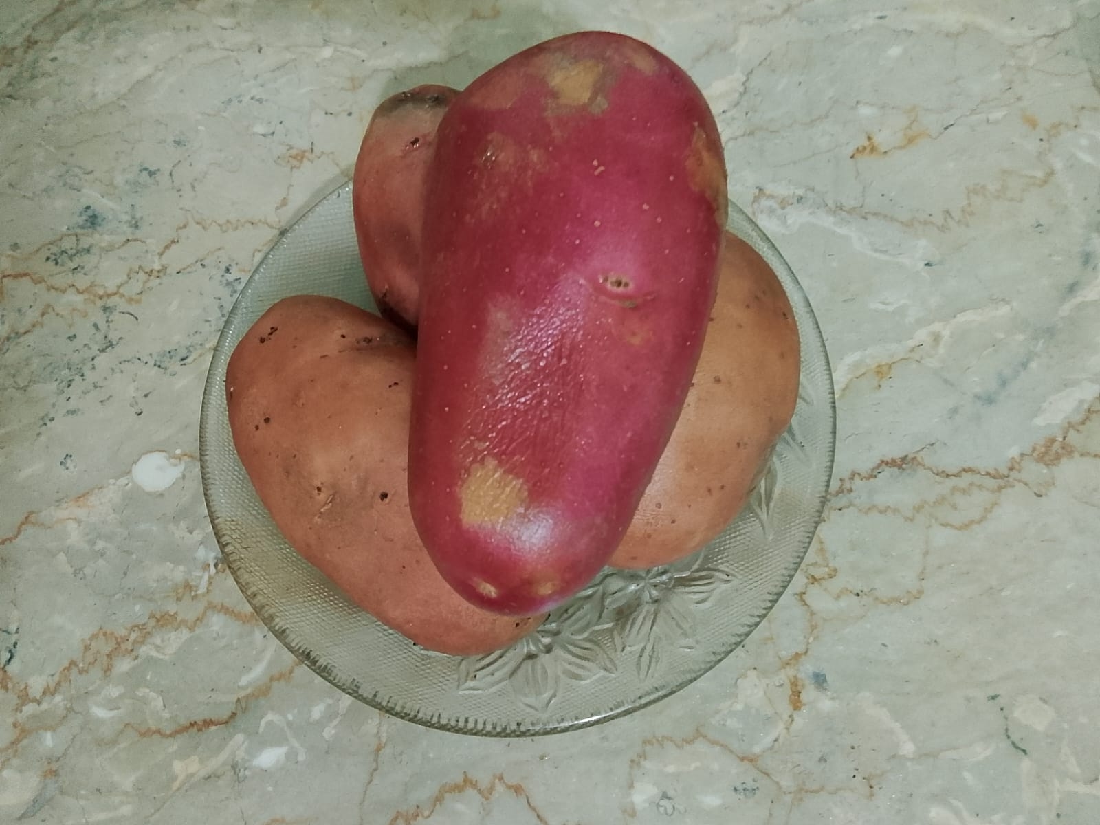 1000229061.jpg