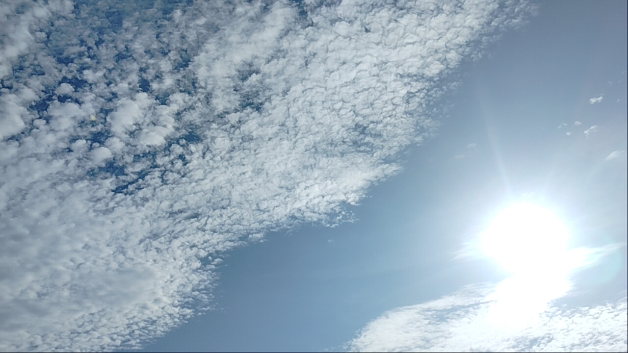 1000127745.jpg