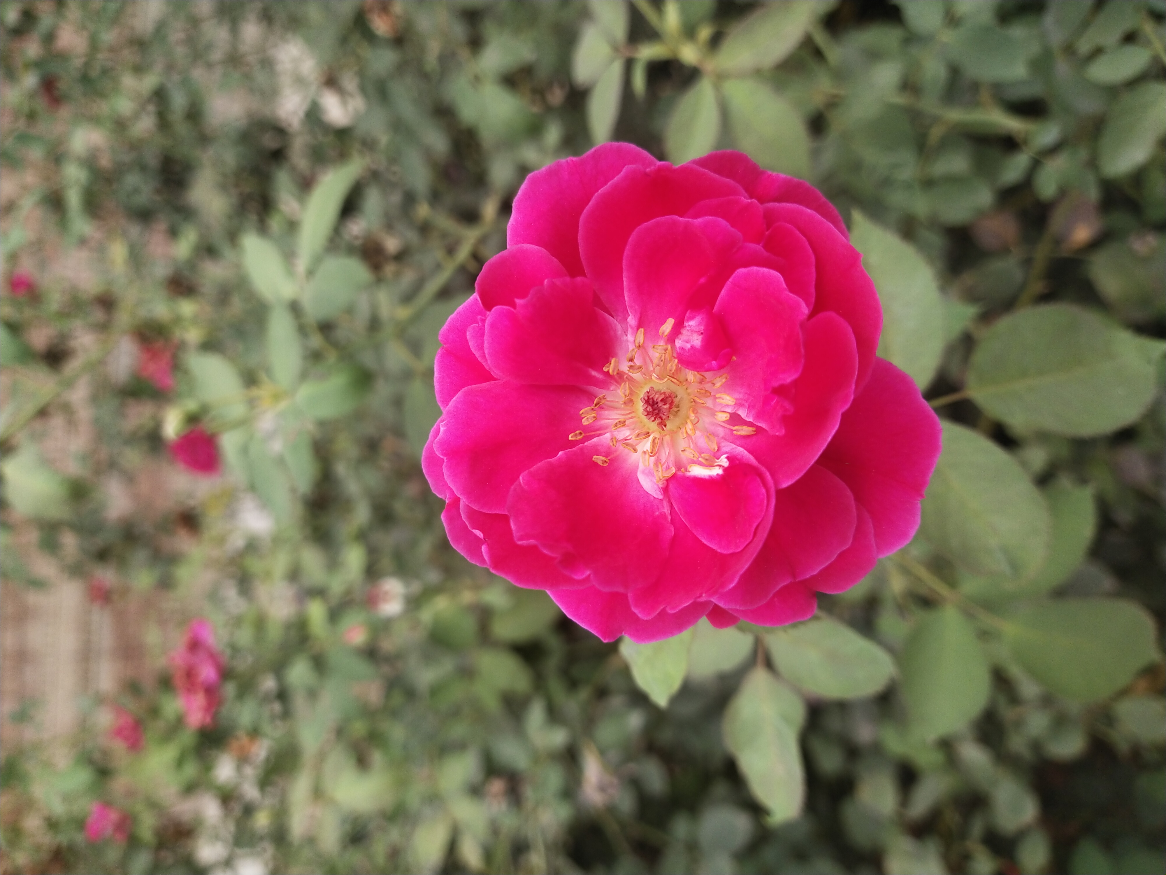 IMG_20210921_082542.jpg