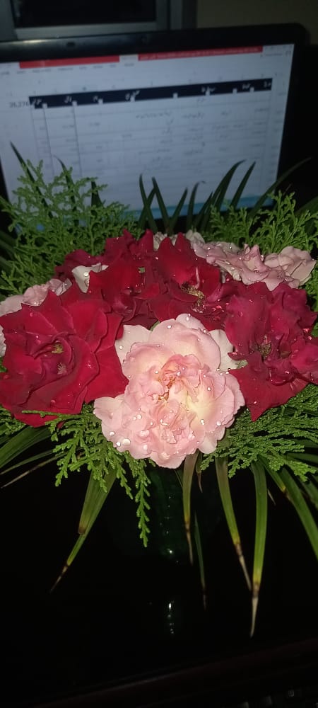 IMG-20221013-WA0109.jpg