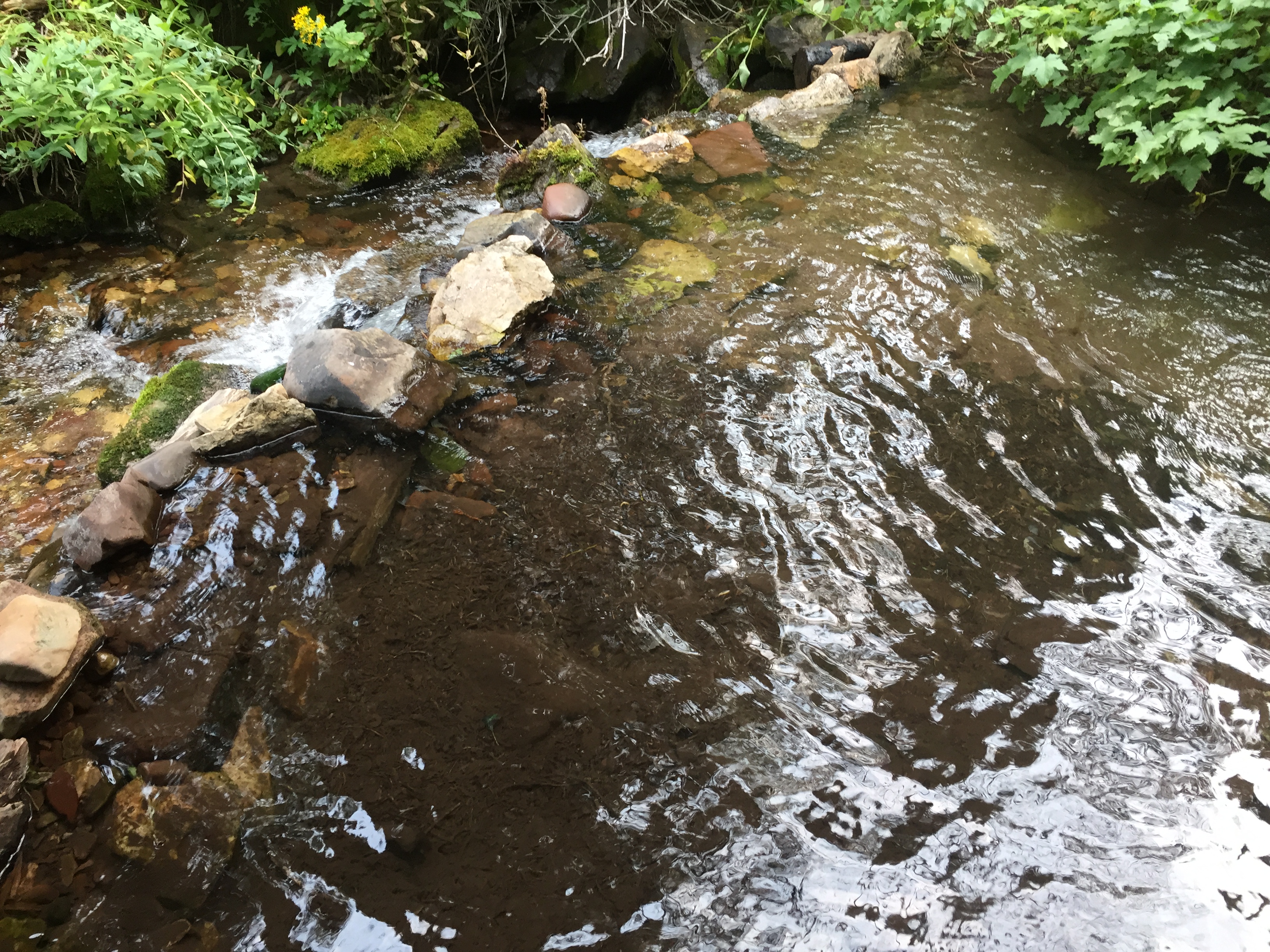 Dog lake -19.jpg