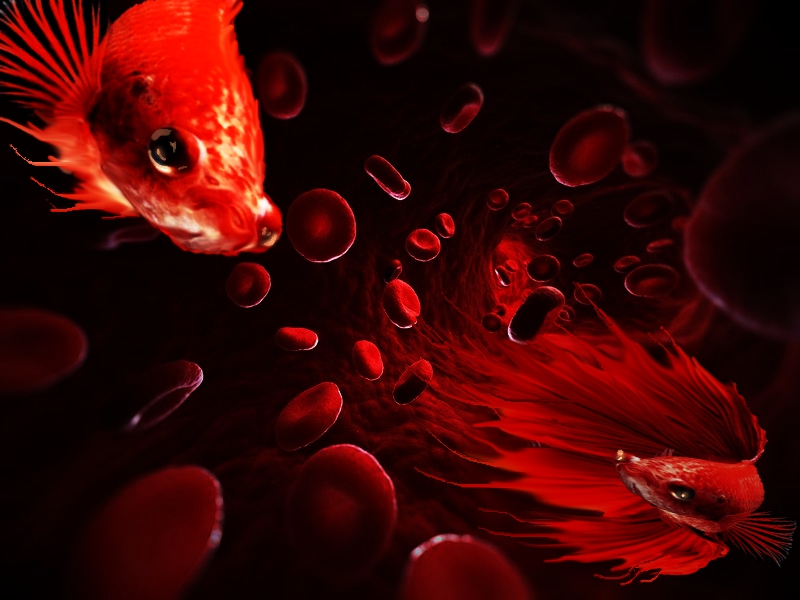 Peces de sangre.jpg