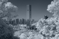 DSCF1723_250_Thumb.jpg