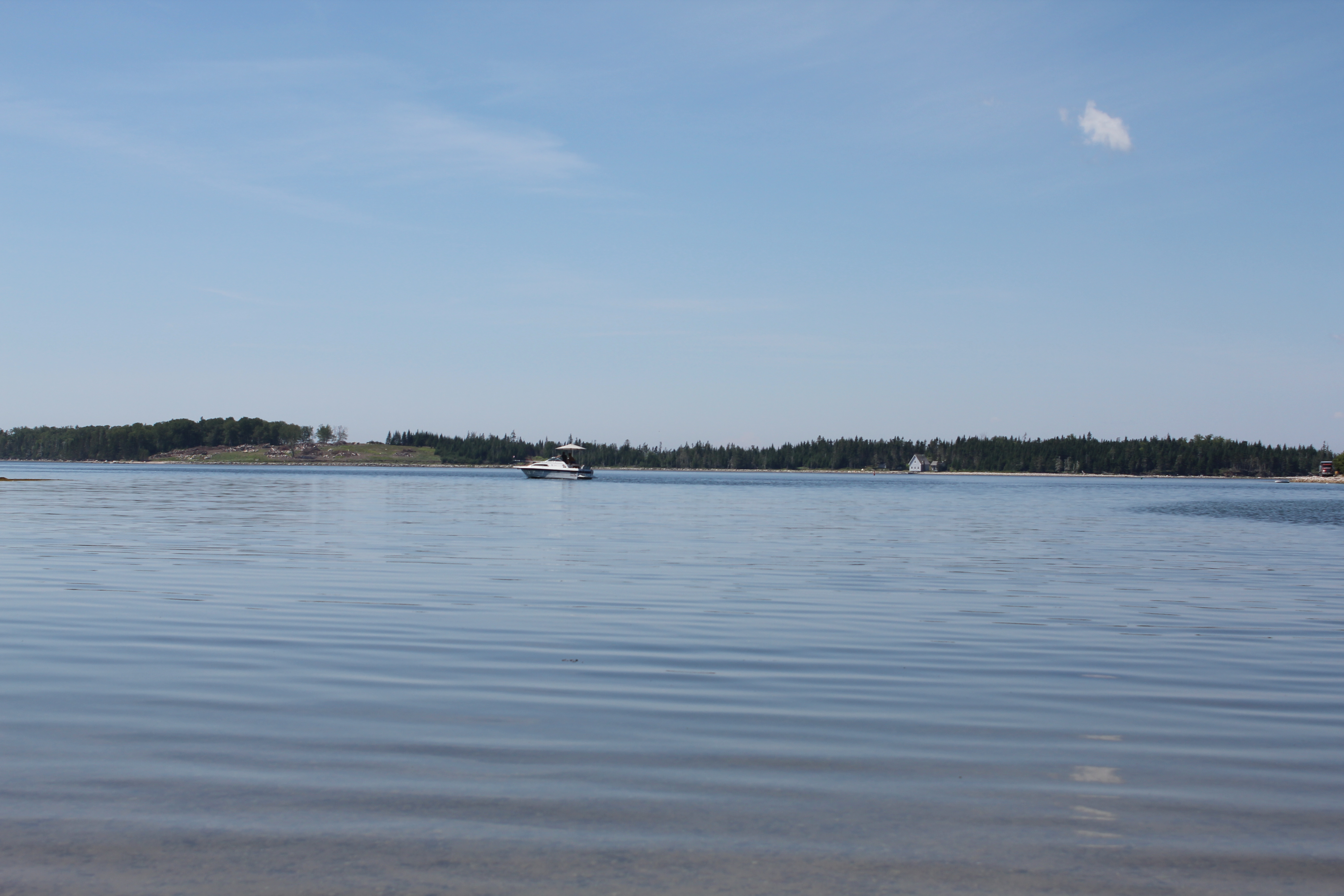 IMG_8166.JPG