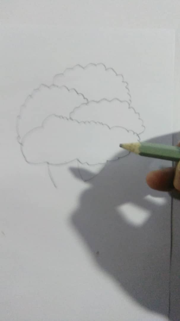 dibujando 8.jpg
