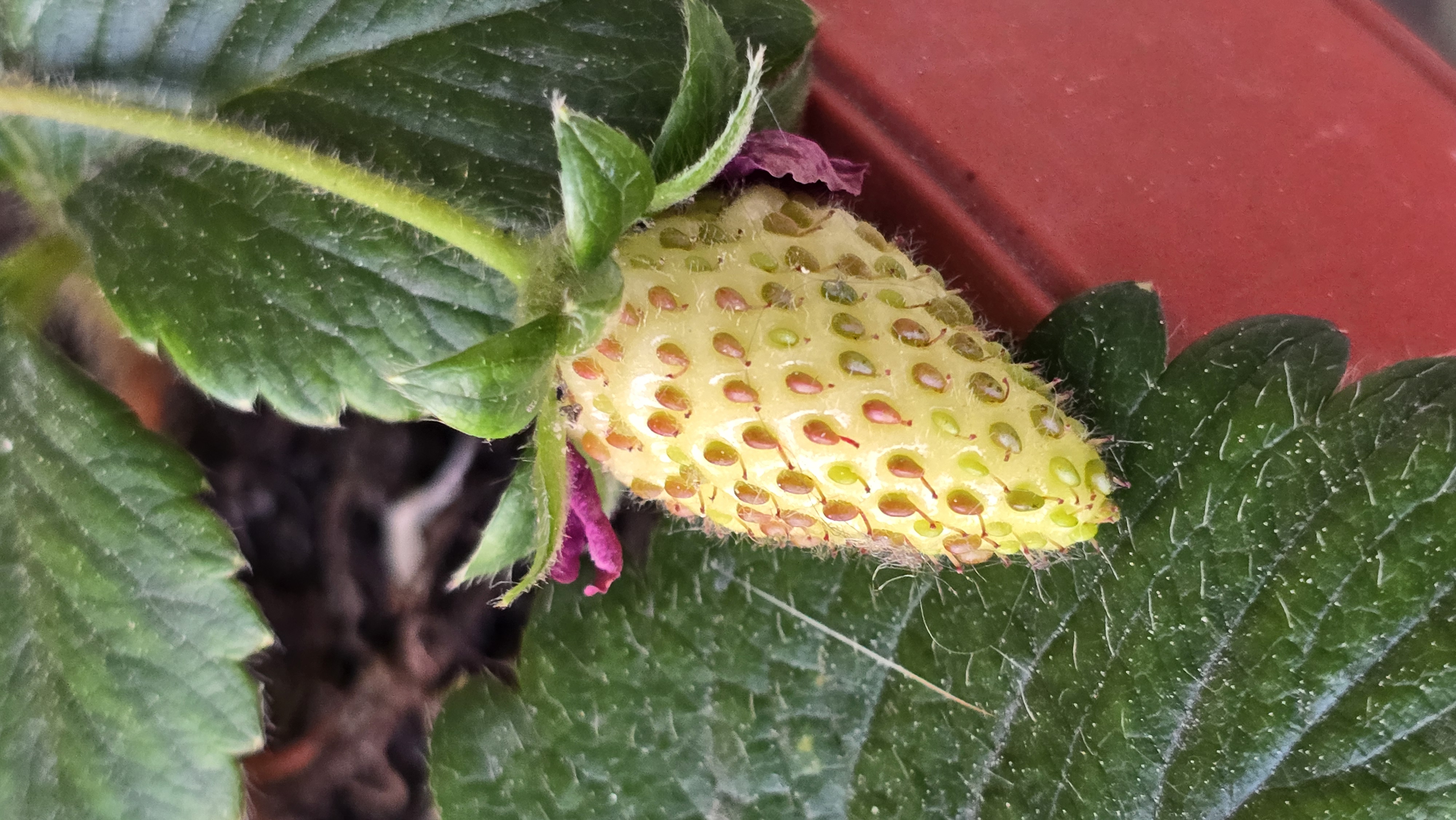 20260523_204239.jpg