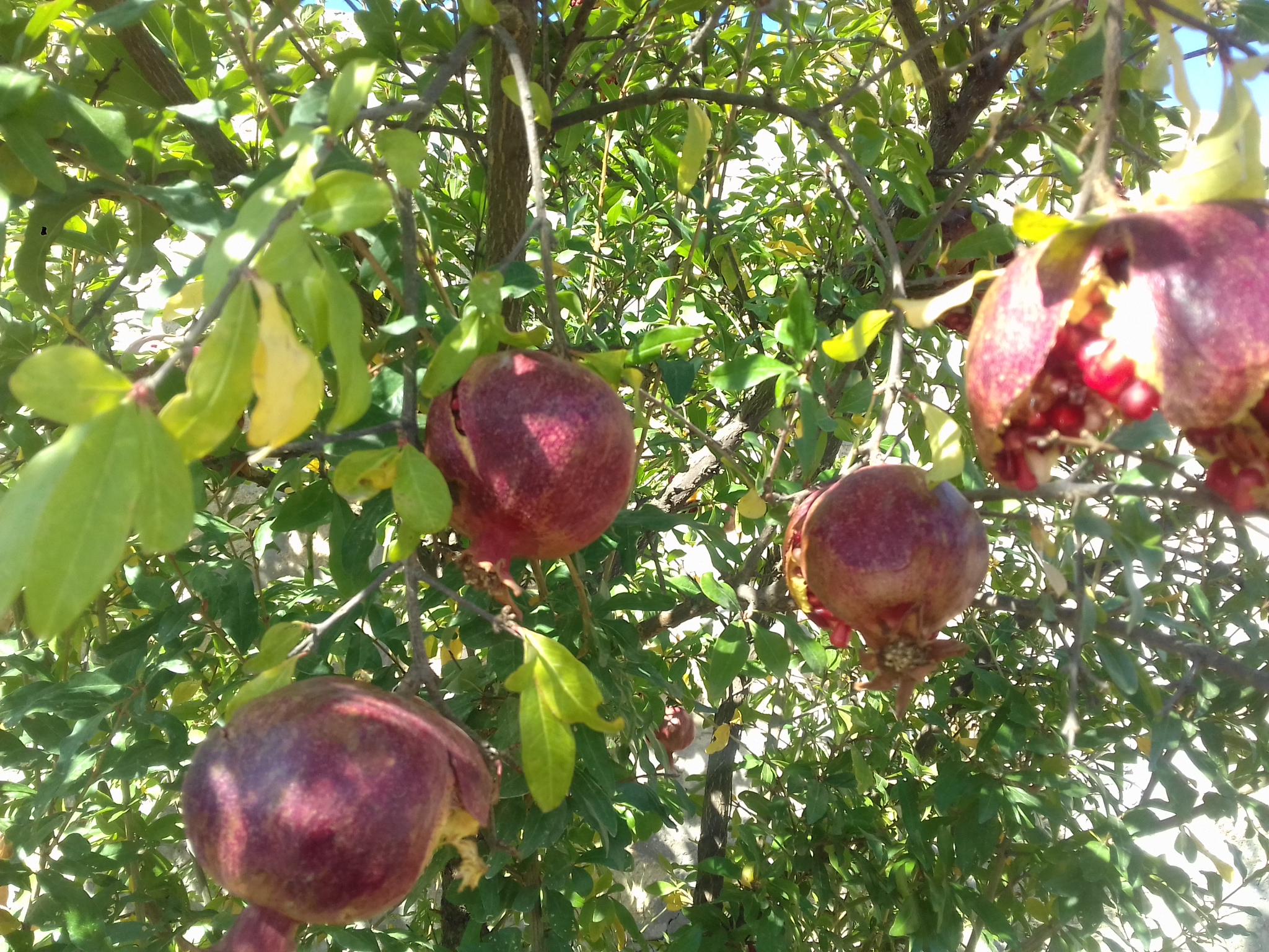 20180924_101841.jpg