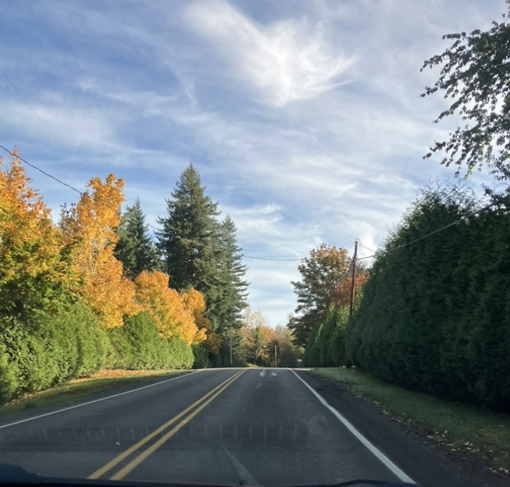 "FALL IS IN THE AIR!"🍁..........................NORTHWEST ADVENTURES! 😀