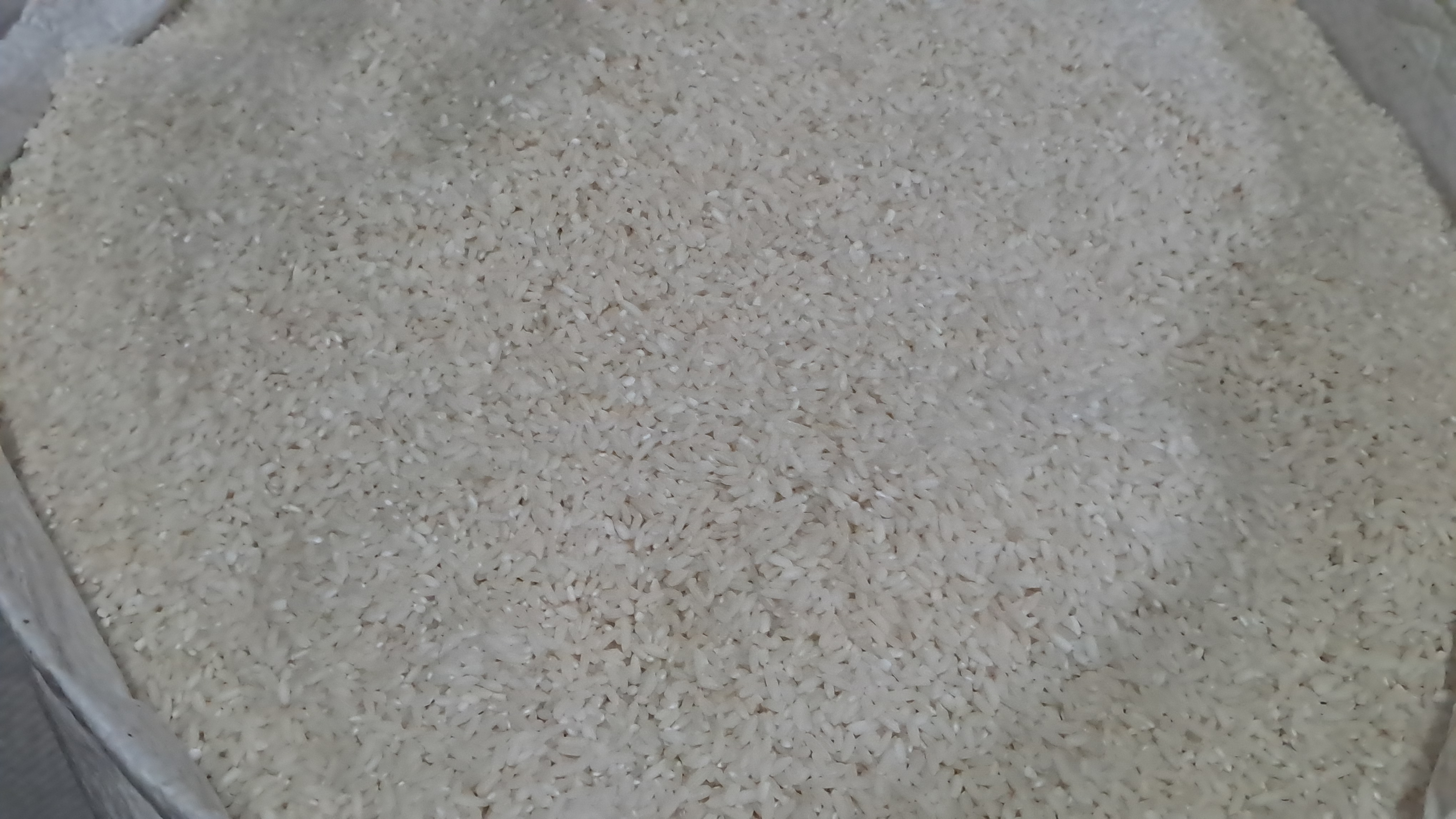 20260125_165236.jpg