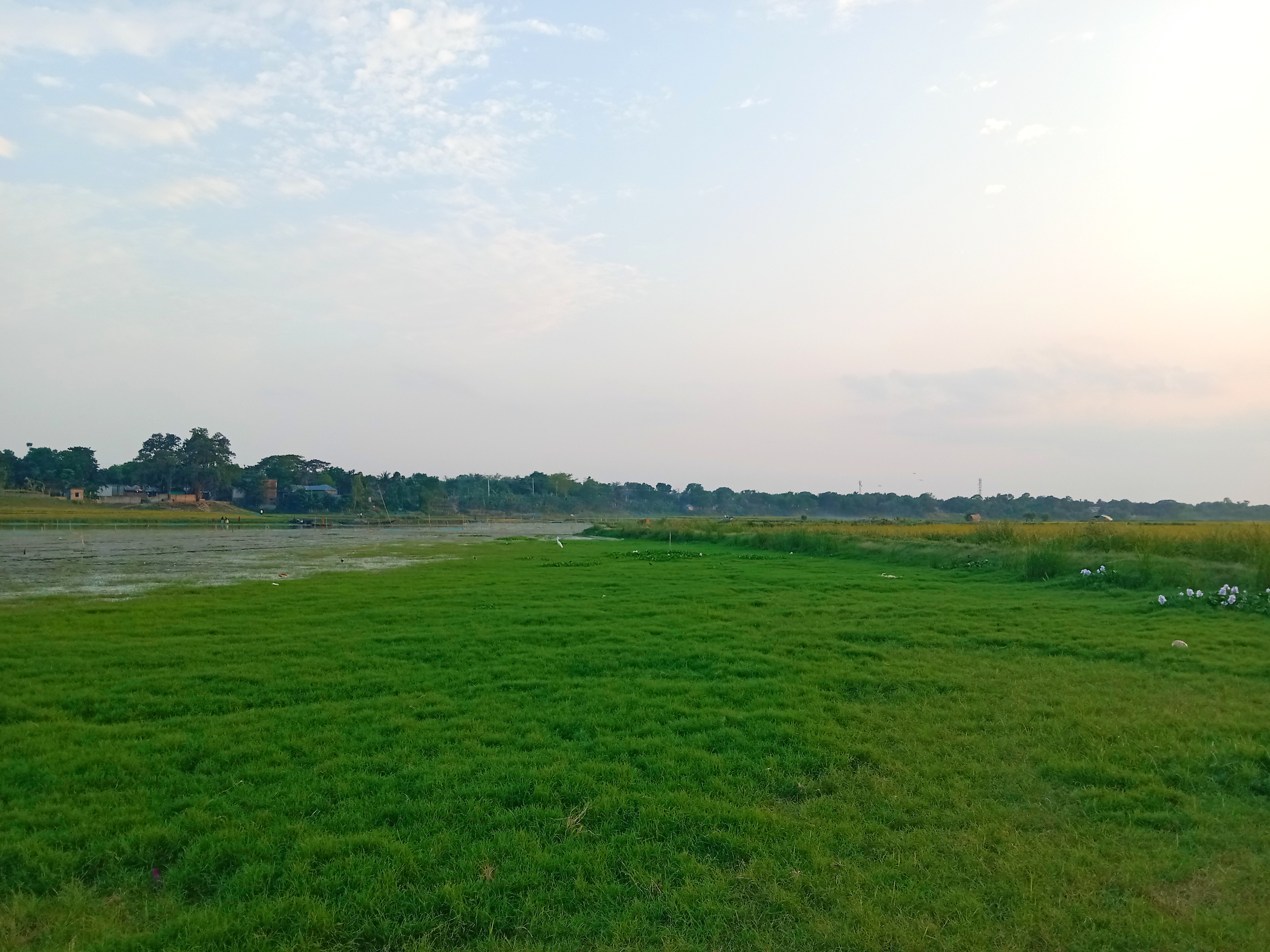 IMG_20260715_112911.jpg