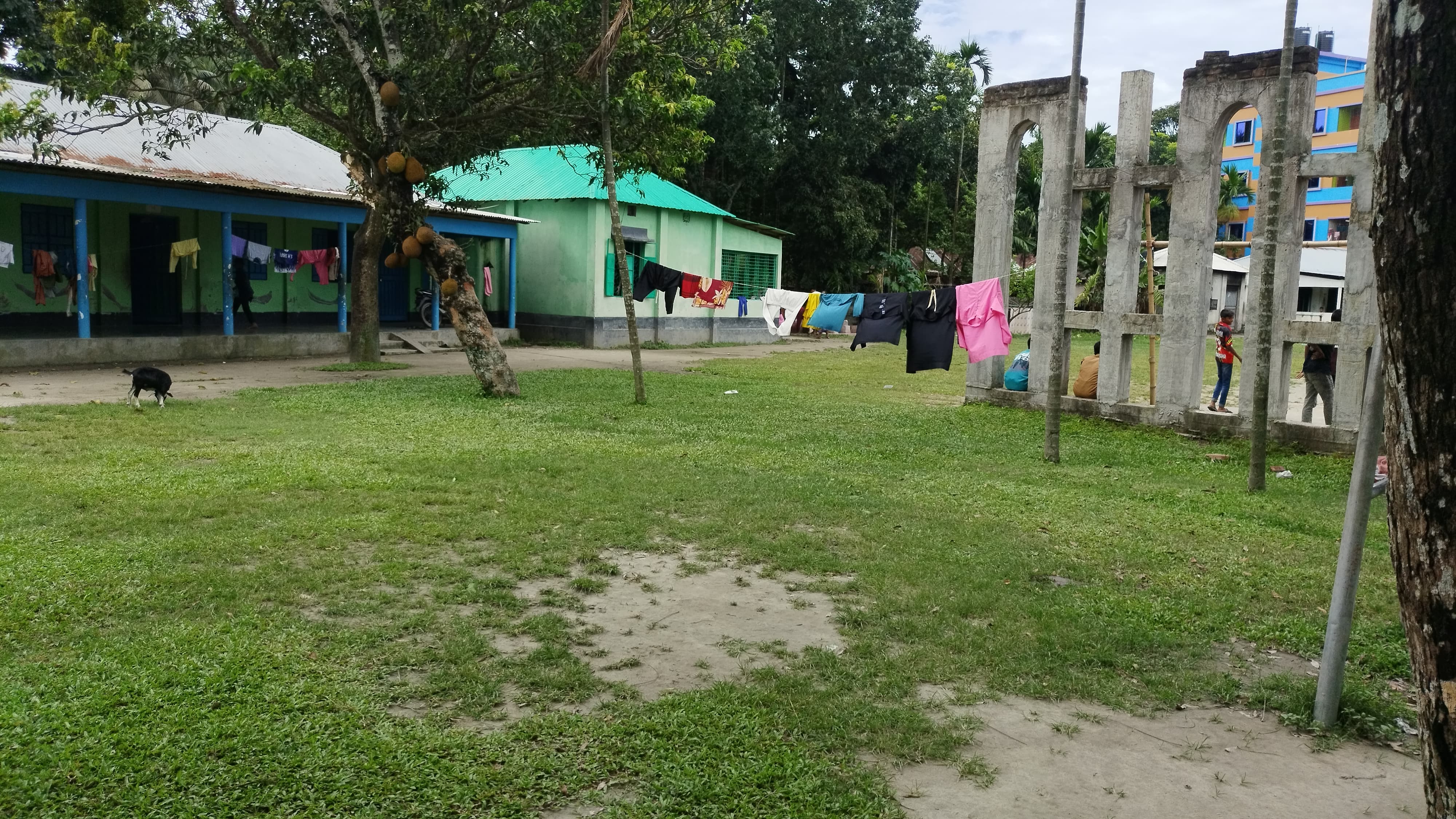 45106.jpg