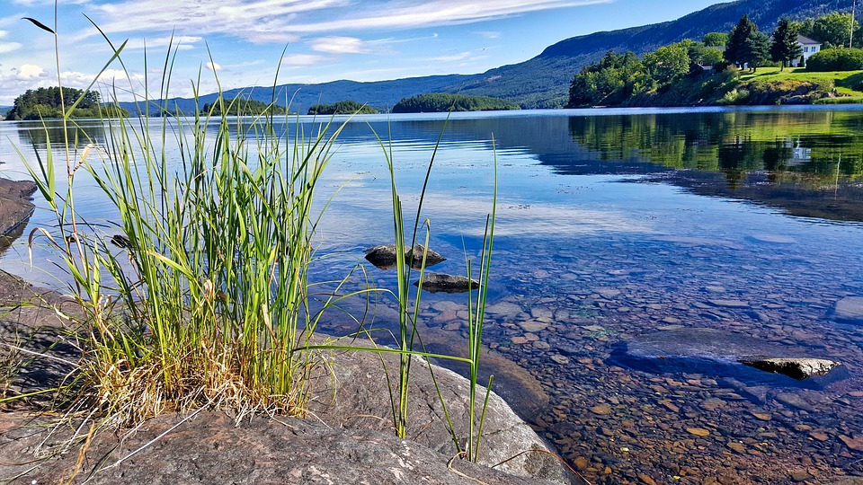 landscape-2320697_960_720.jpg