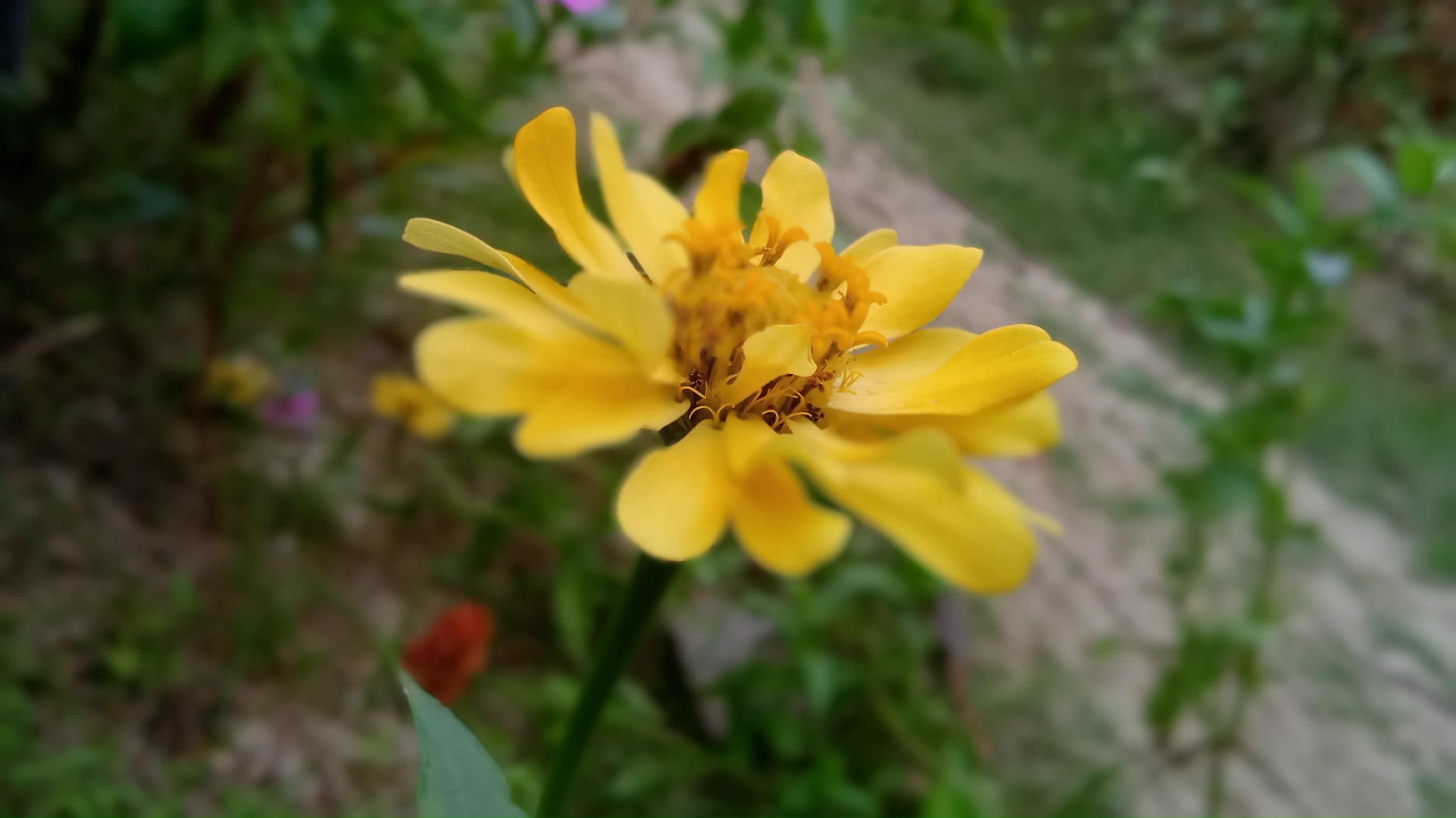 IMG_20211004_161955.jpg