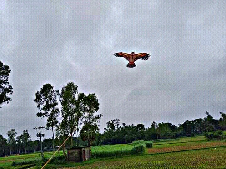 PicsArt_06-20-11.34.14.jpg