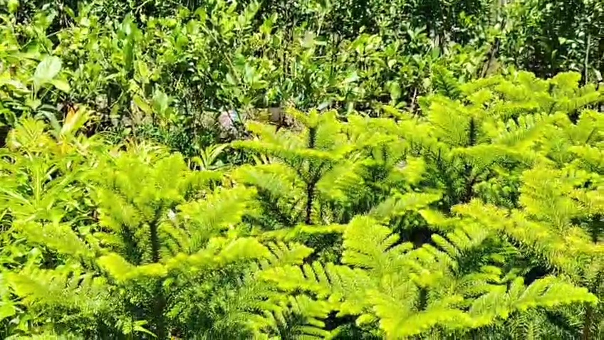 VideoCapture_20260816-181340.jpg