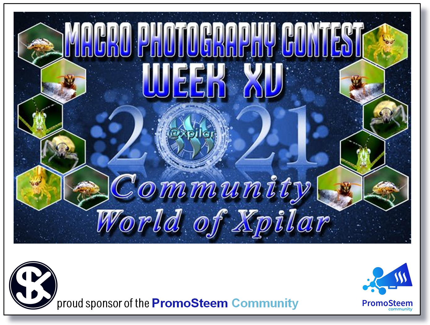 Steemit Steem Blog.jpg