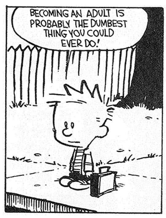 calvin bumb.jpg