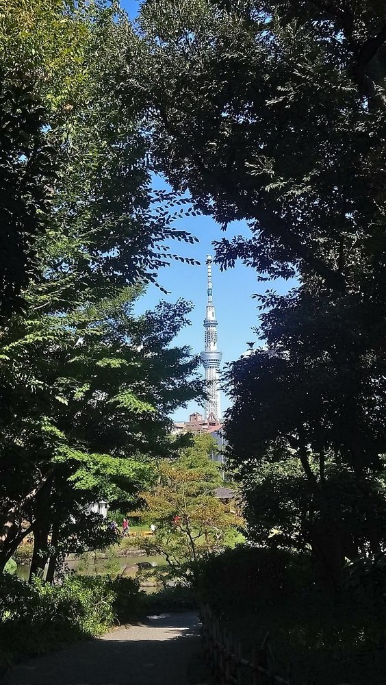 🍙 Dean's Tokyo Snapshots 🍙 SKYTREE In the Trees
