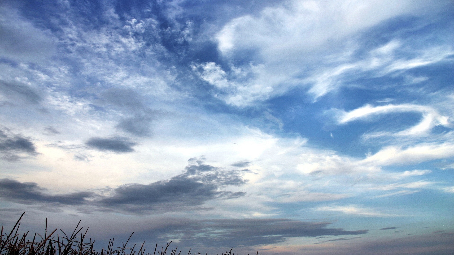 《飞鸟与夏花》每天一首自译飞鸟集（203/325） - Translate a poem form Stray Birds everyday