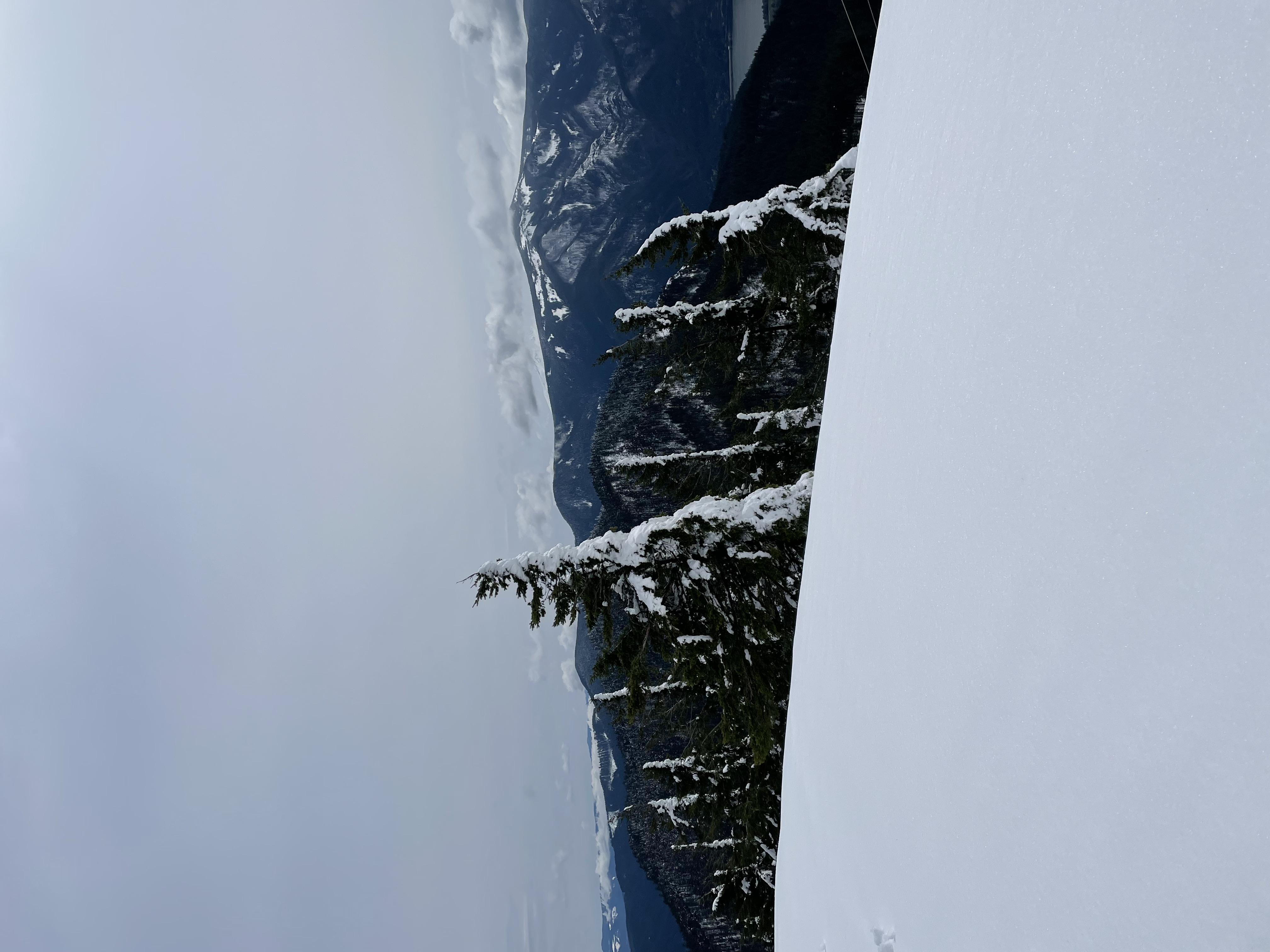 IMG_0316 2.JPG