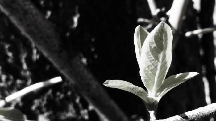 CYMERA_20200209_194607.jpg