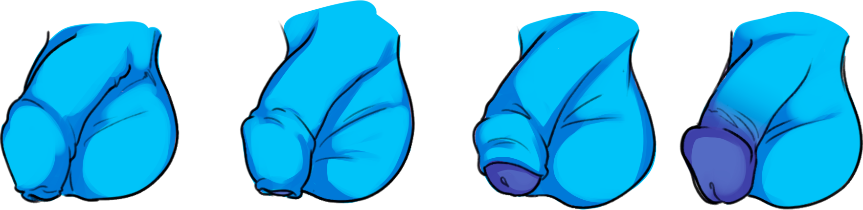 prepucio.png