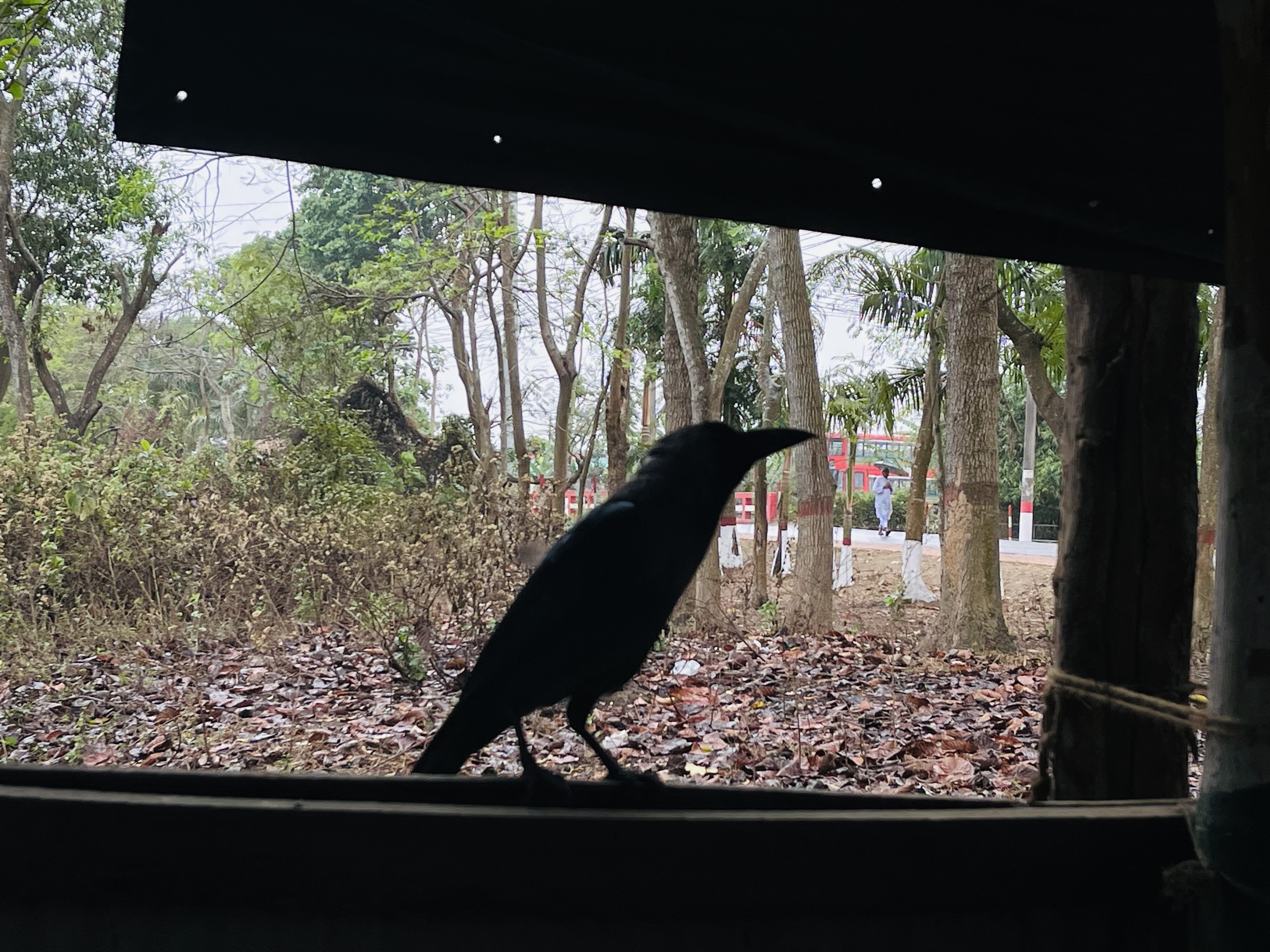 IMG_4780.jpeg