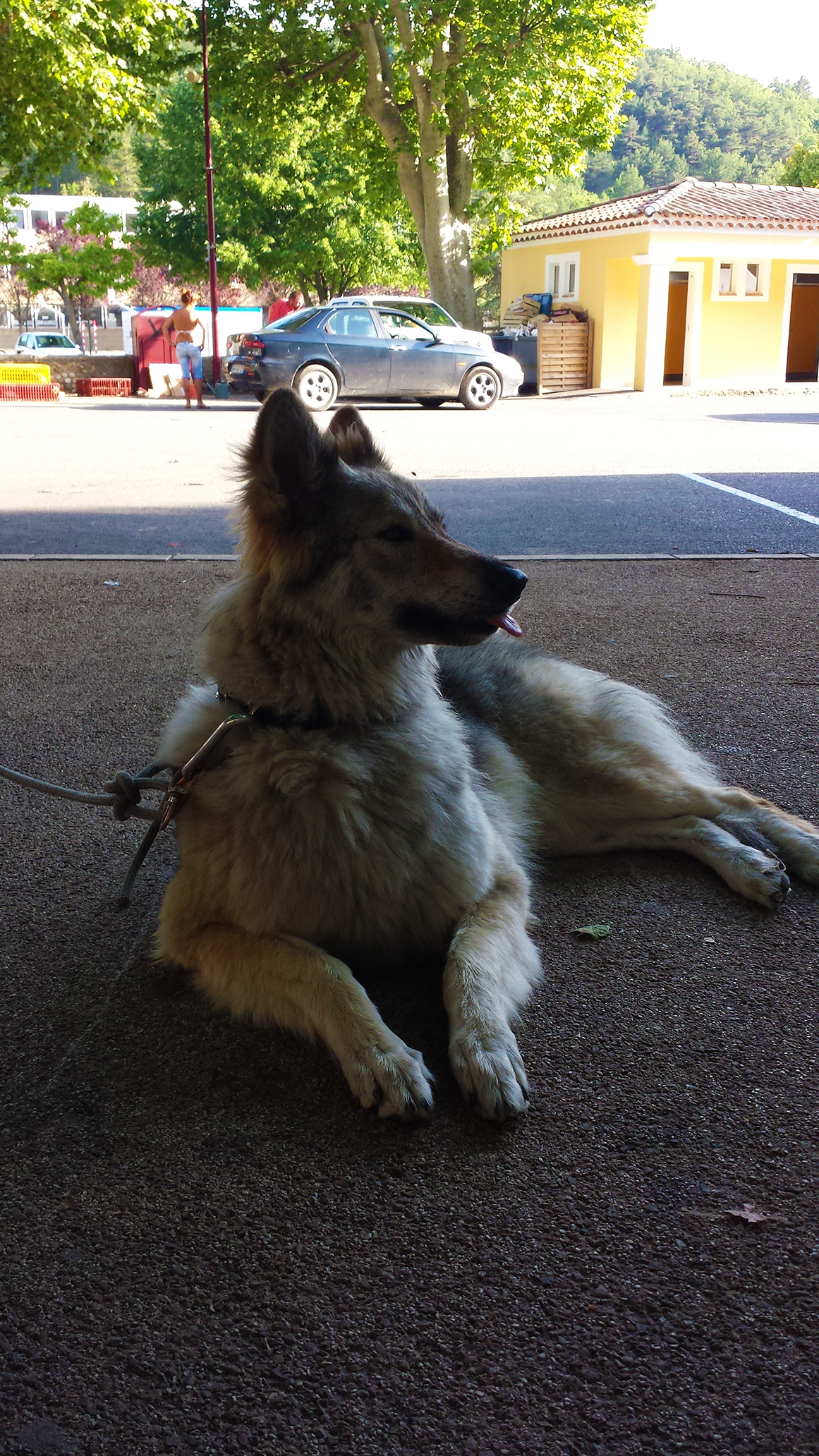 20140622_185634.jpg