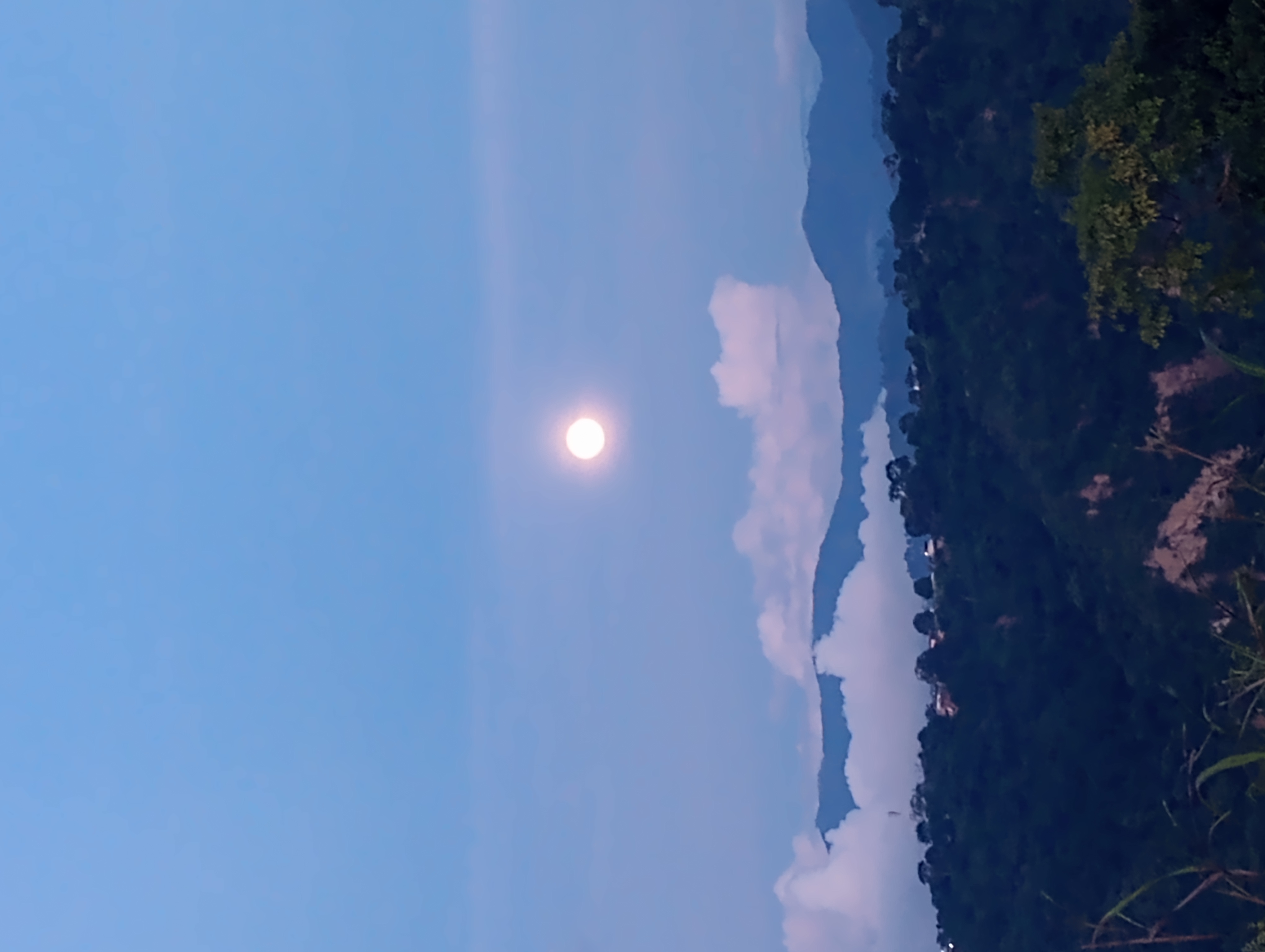 IMG_20221107_182314822.jpg