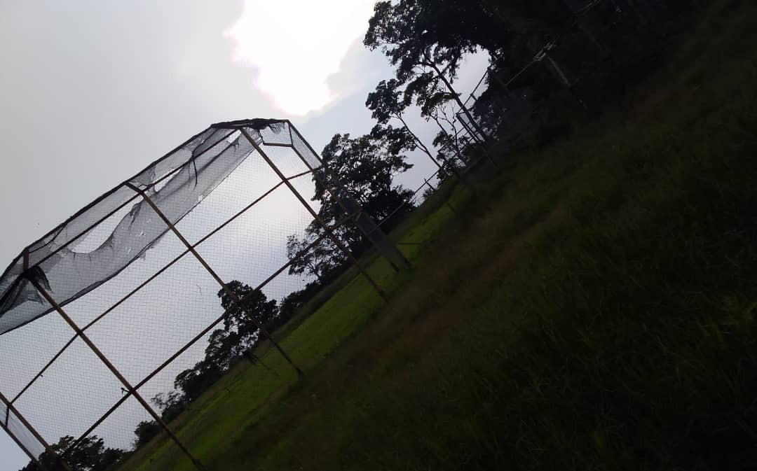 IMG-20210720-WA0009~2.jpg