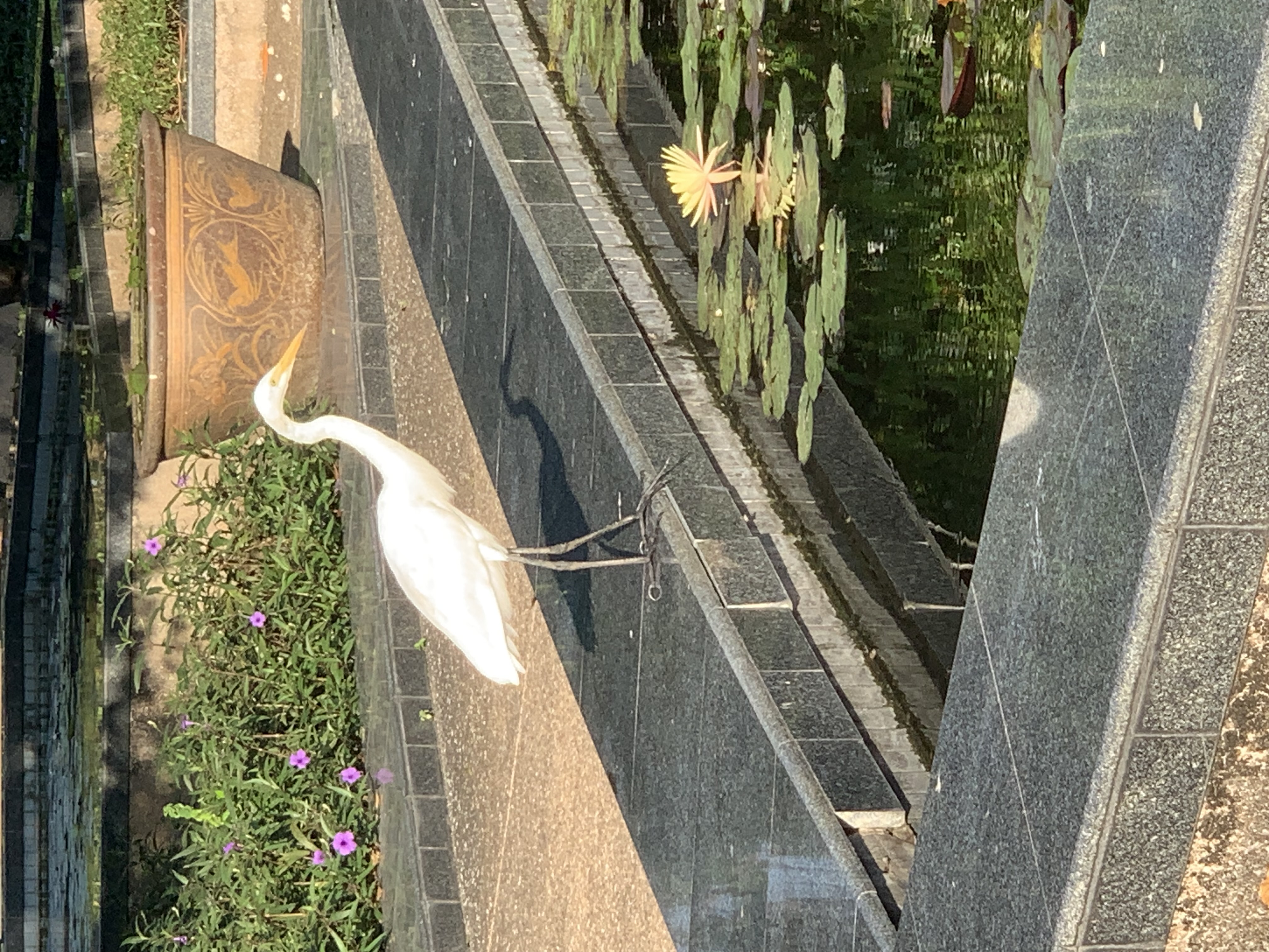 birdwatching spots9.jpg