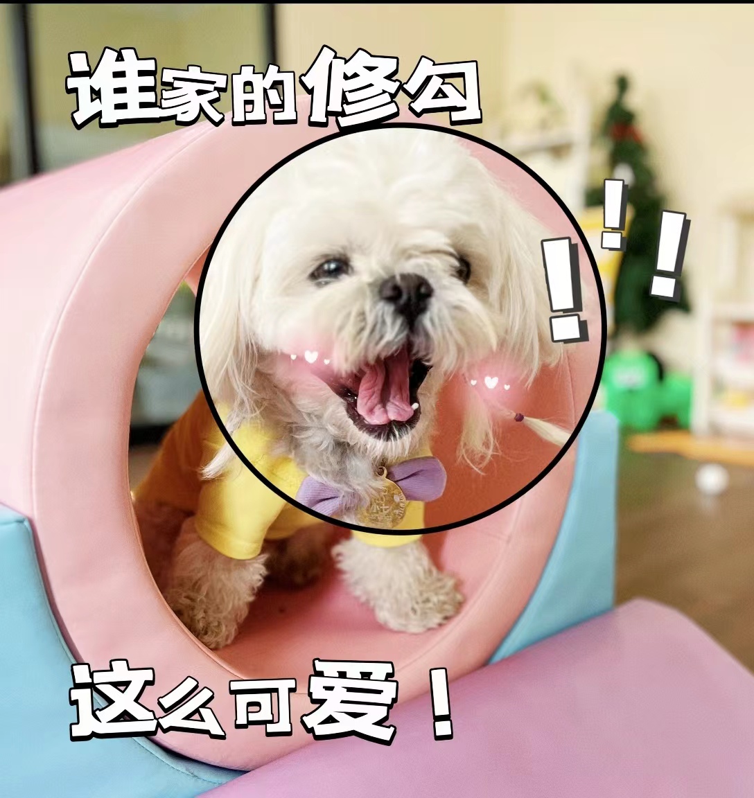 微信图片_20240414135851.jpg