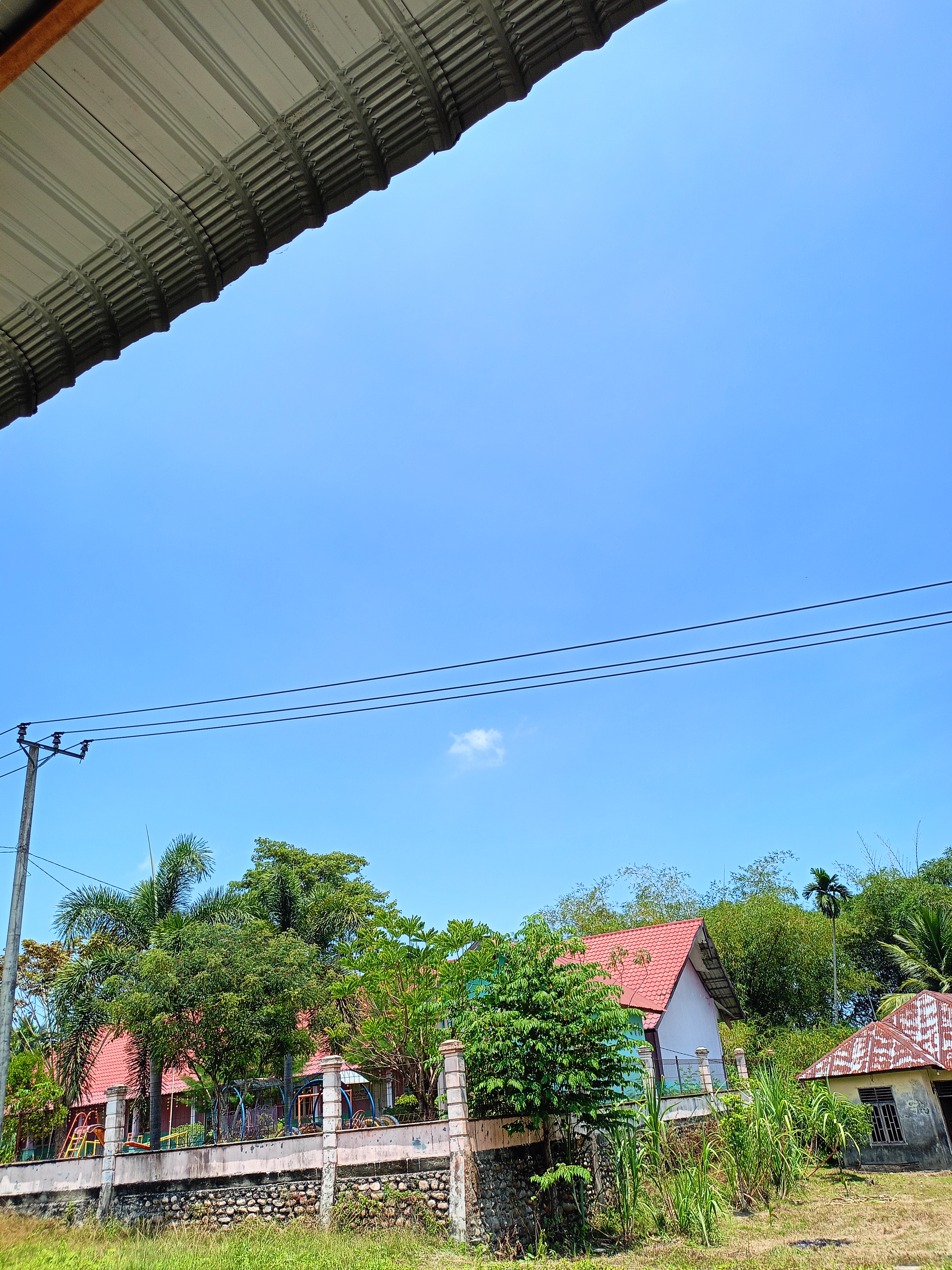 IMG20260320120131.jpg