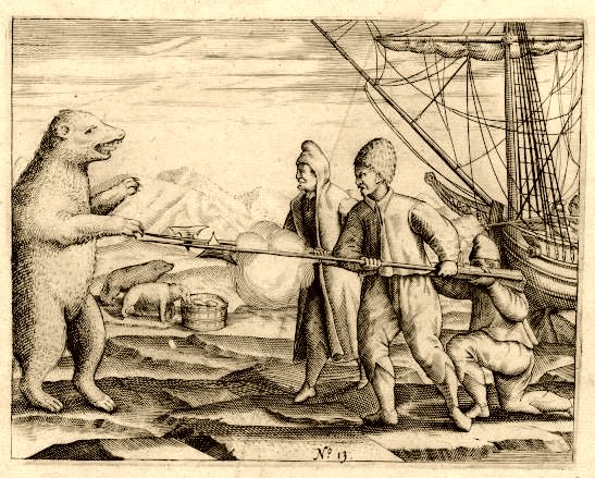 Polar_bear,_Gerrit_de_Veer_(1596).jpg