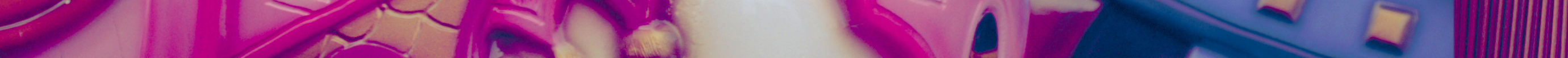 _DSC0129 separador.jpg