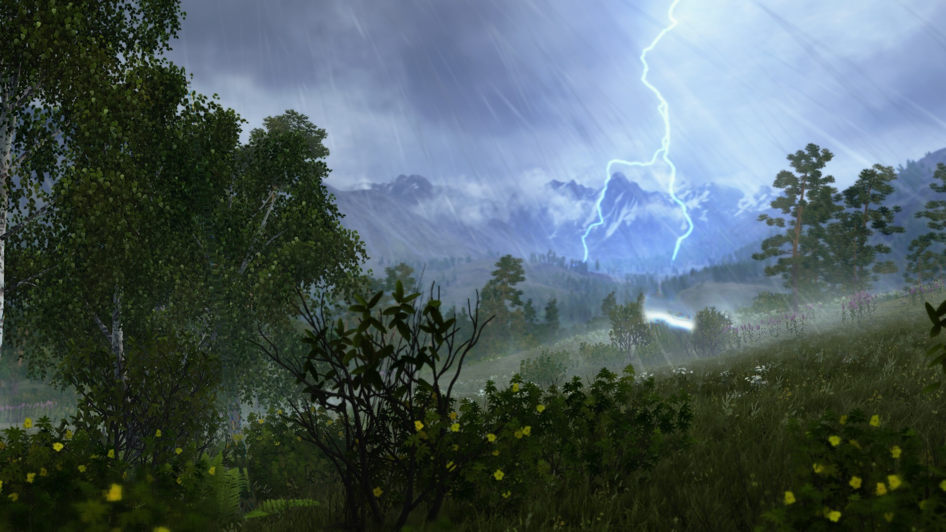 real-05-valley-big.jpg