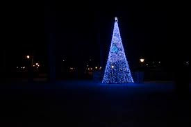 tree.jpg
