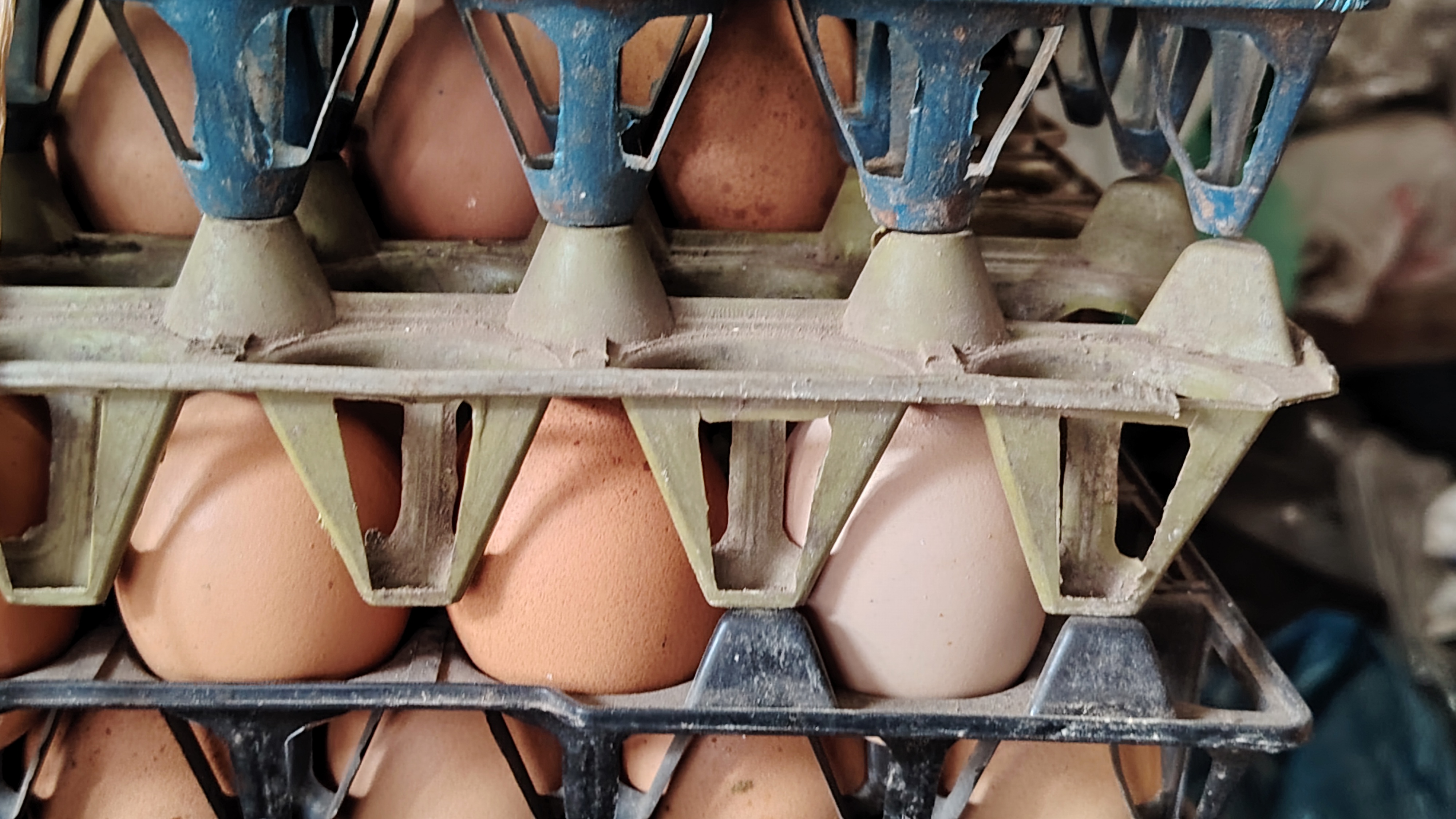 105431.jpg