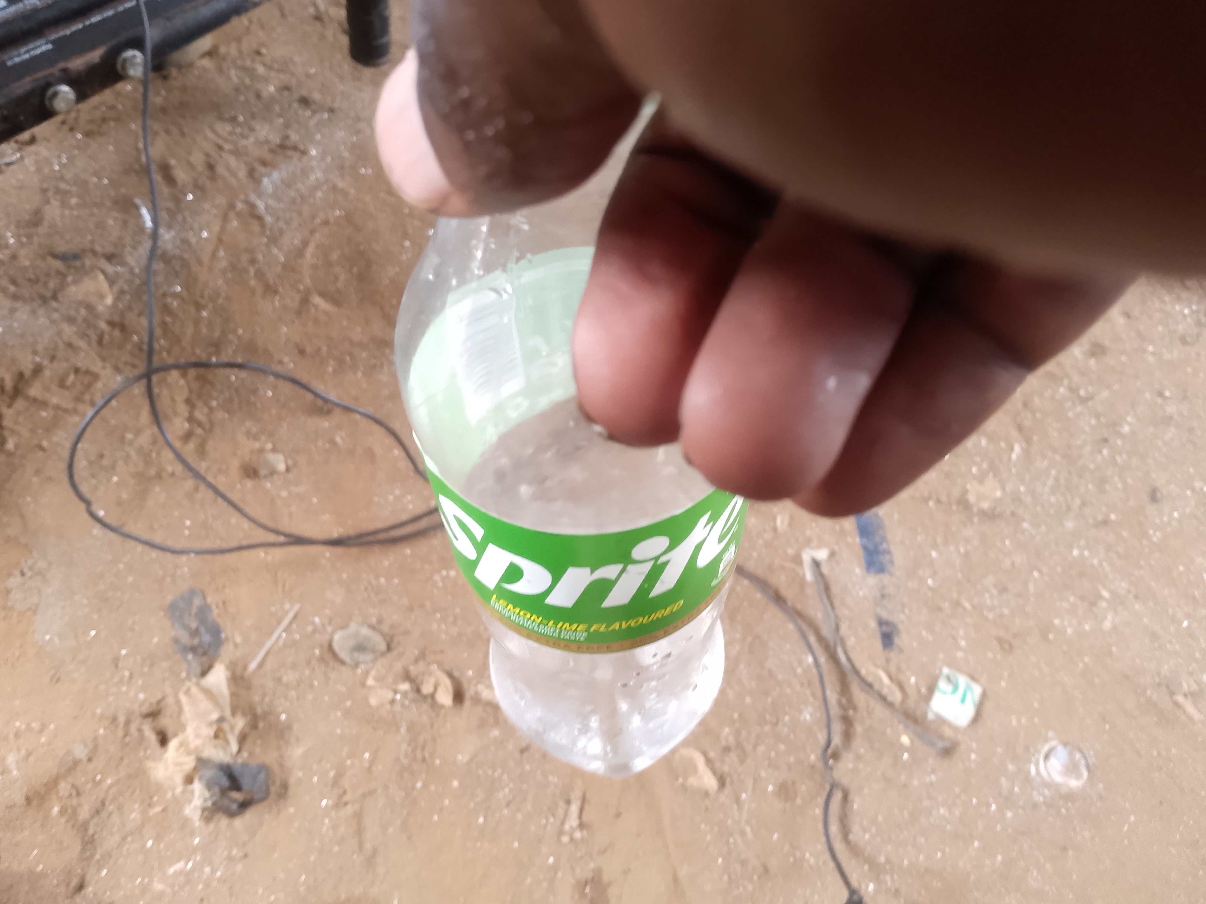 1000317517.jpg