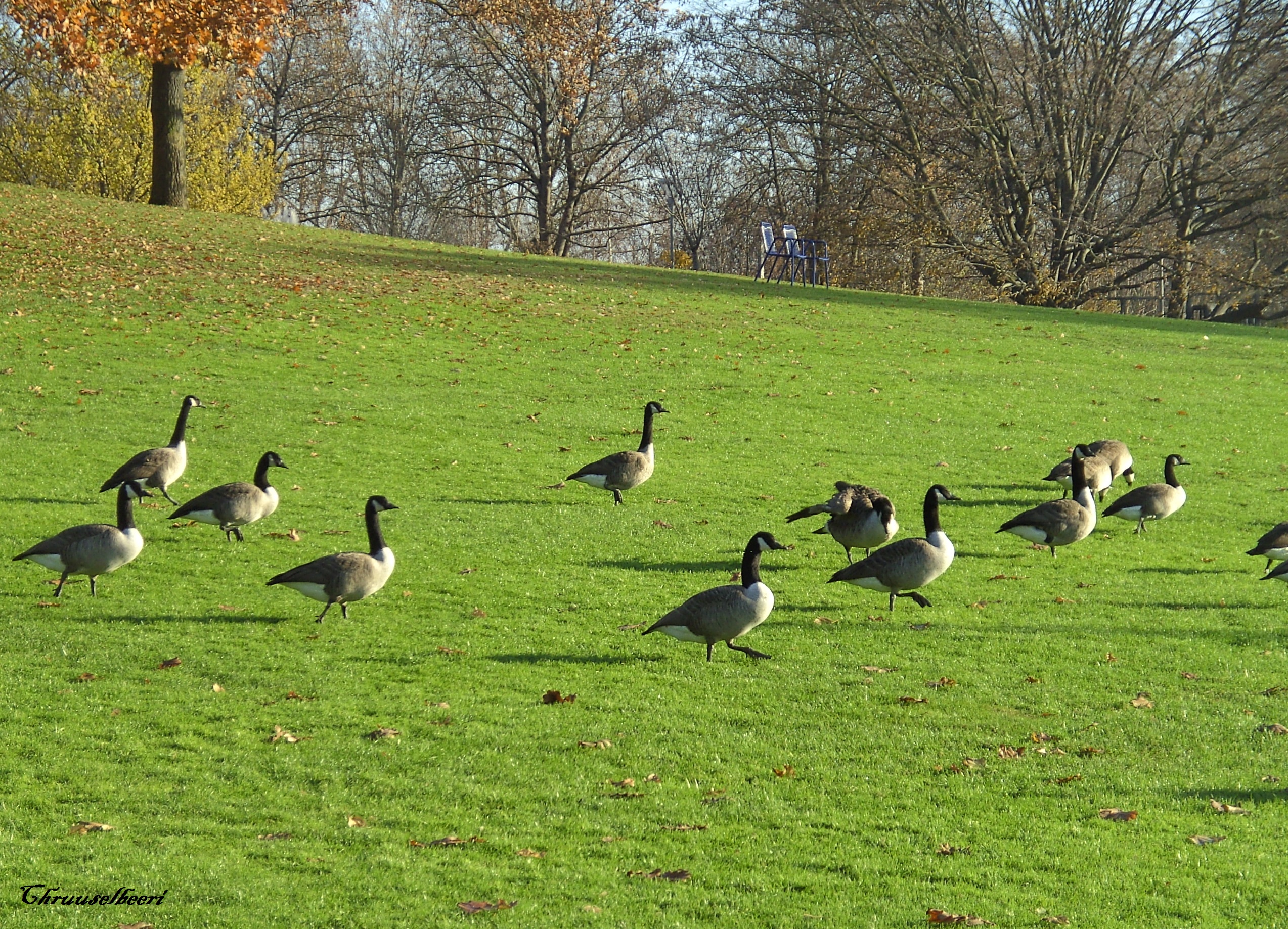 Sonnenstrahlen_01.jpg