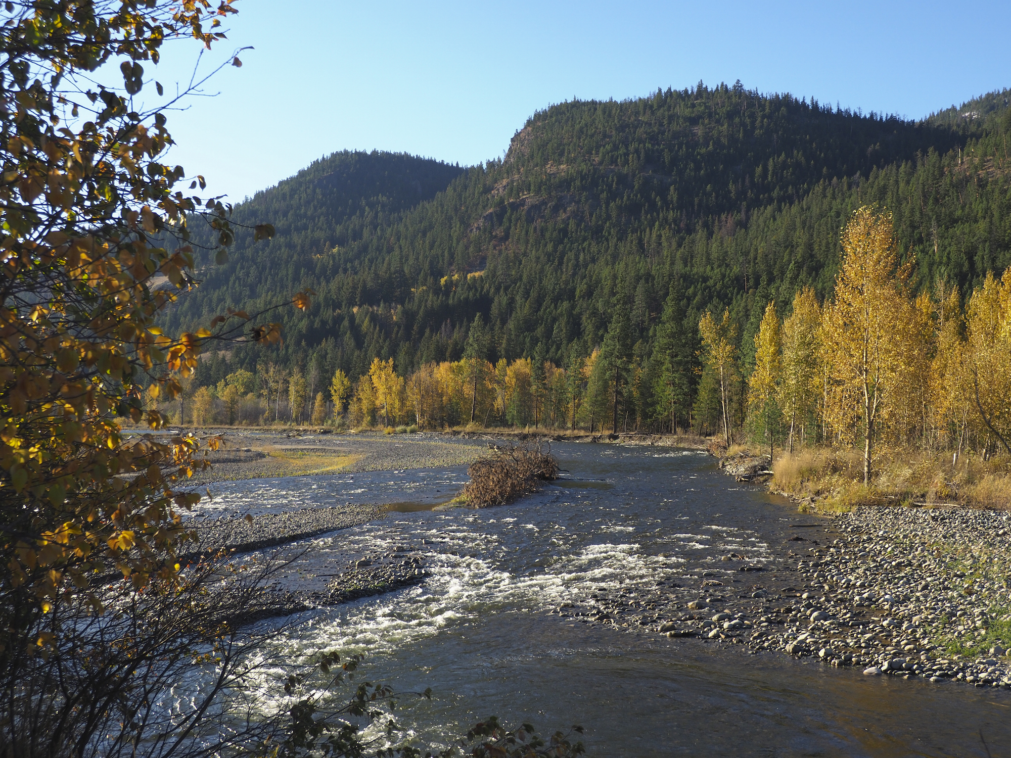 PA100038.jpg
