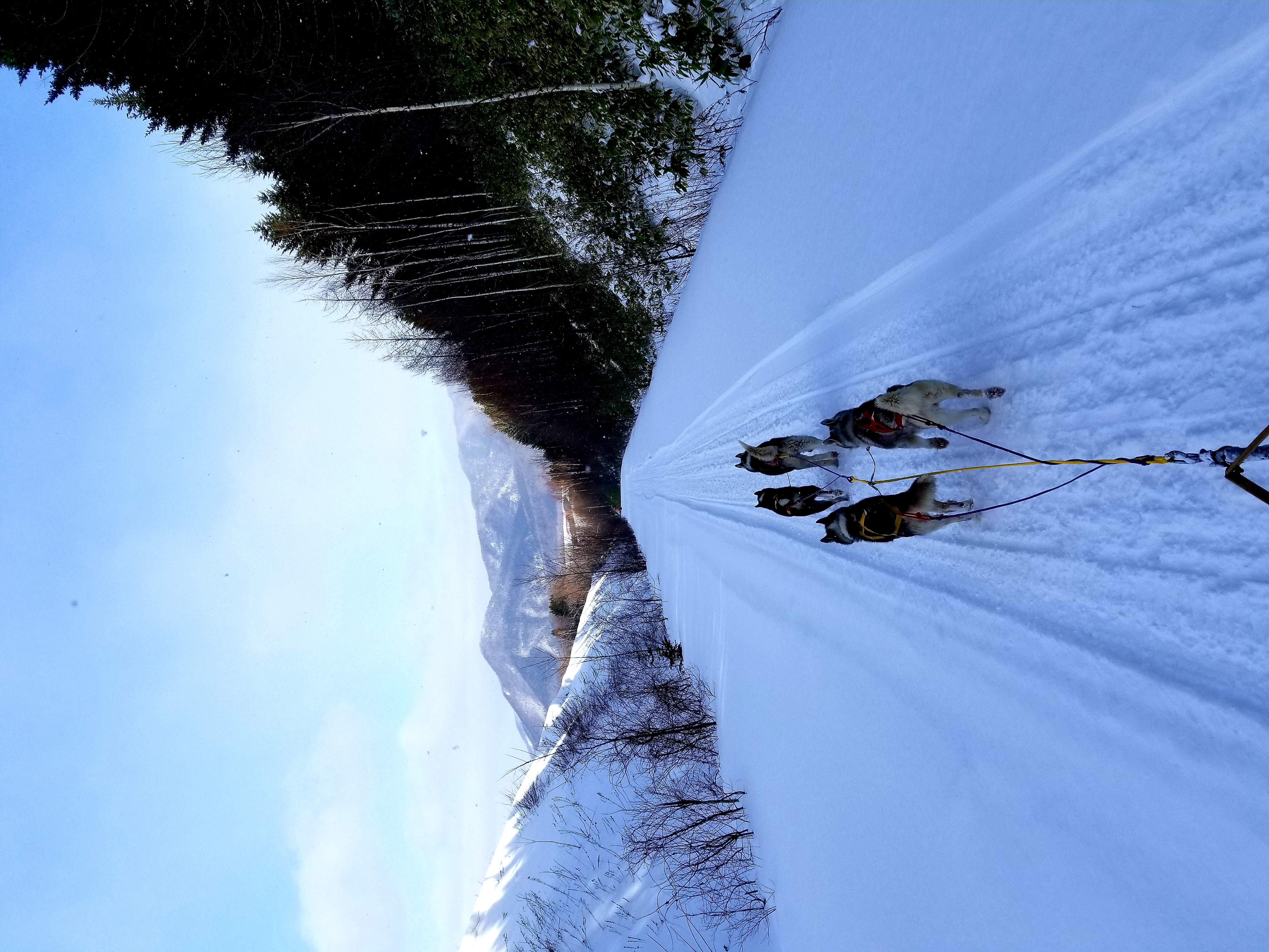 20190130_205438.jpg